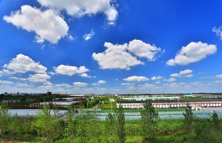 Vibrant land
